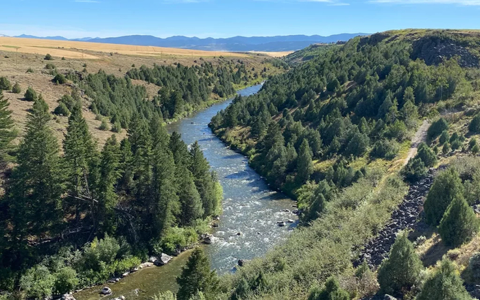 ���� ����� � ������, ������� ������������ ������