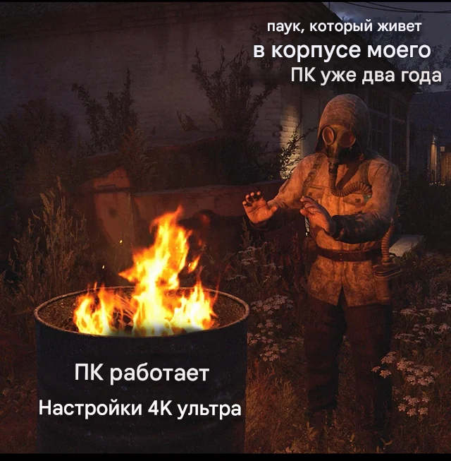    , , , , , , IT , 