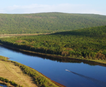 �����, ���� �� ������?