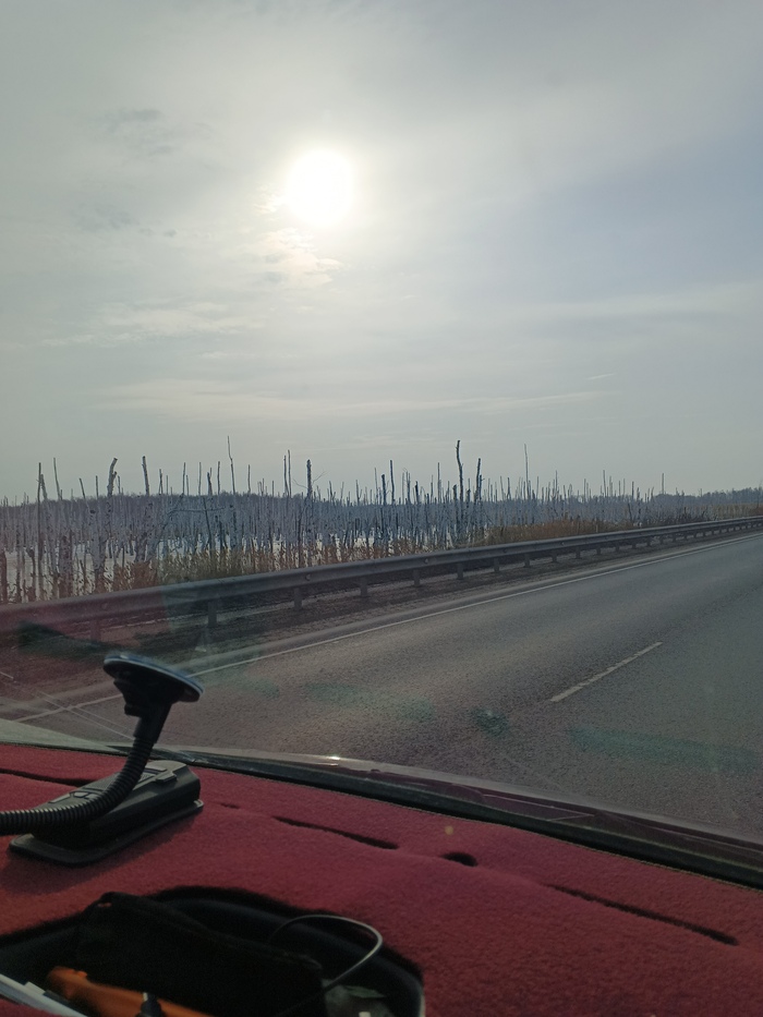 Проехади Тюкалинск, живописнейшие болота!