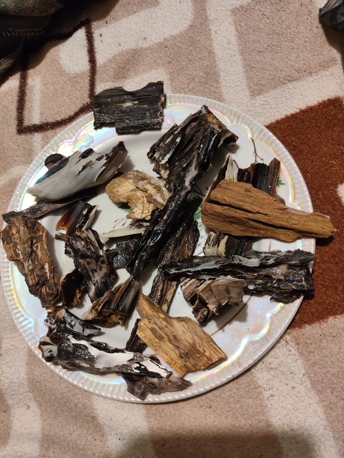 Фрагменты древесины окаменевшей. Видео не смог вставить, телефон говорит, что этому приложению доступны только фото.