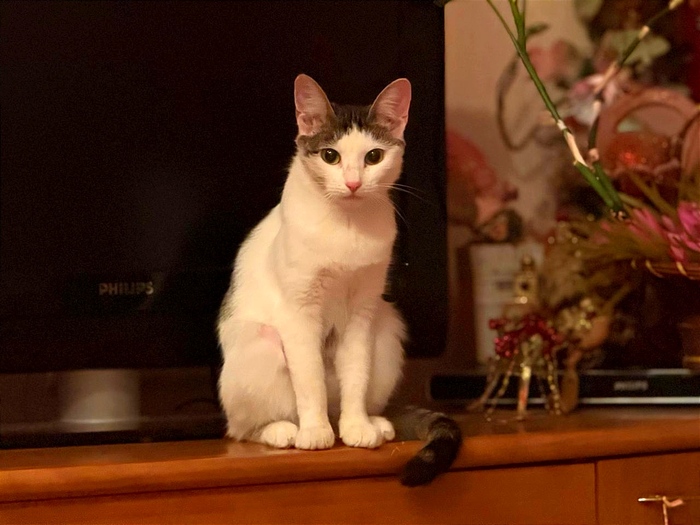 ���� - ������ ��� ������, ��� �� �� ���� �������� � �������� ������, �� ��� ����� ����� ��� ��������.