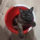 ����� ����� ������ ���� �����������