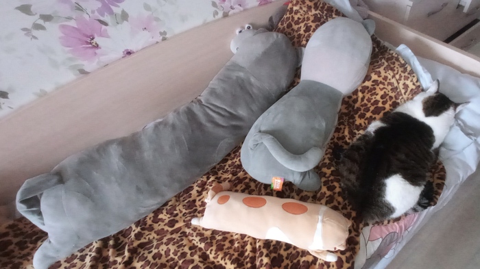 Спят усталые игрушки