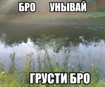 ������������ ����