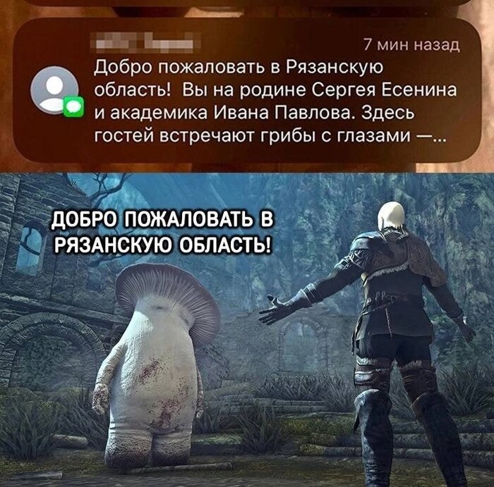    ,    ,   ,  , Dark Souls, , Telegram ()