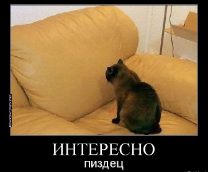 ��������� ����