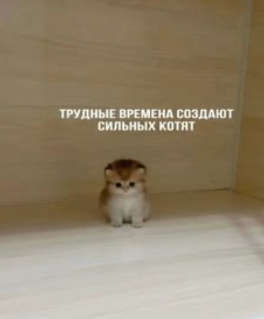 -,          ,  , , , , , , , , , , , ,  , , , ,  , 