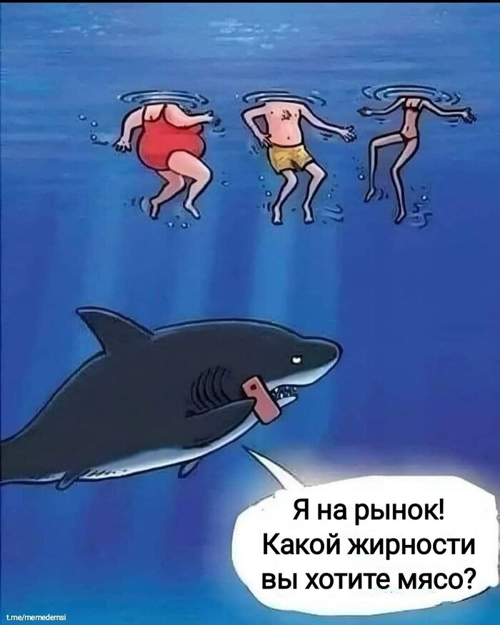 Акула тоже человек