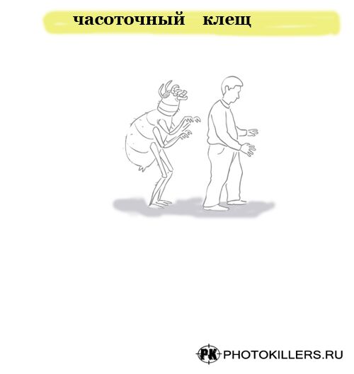       -- , , , , , ,  , , 
