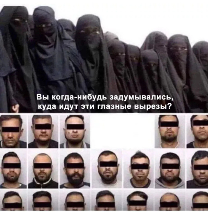     ,   , , , Telegram (),   , 