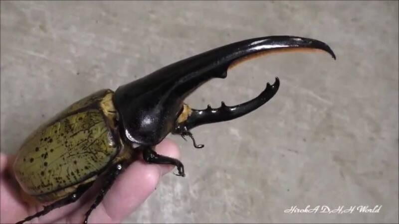 ������������