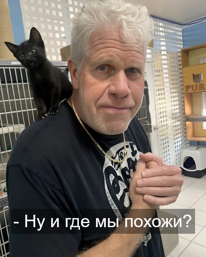  )))  ,  , , ,   ,   