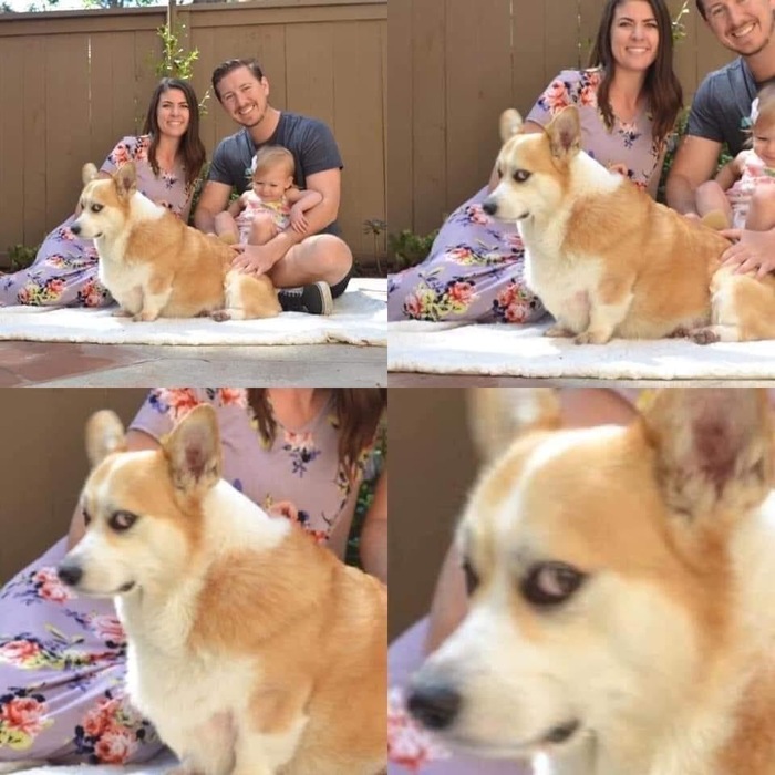 Когда ты обиделся, но надо фотографироваться