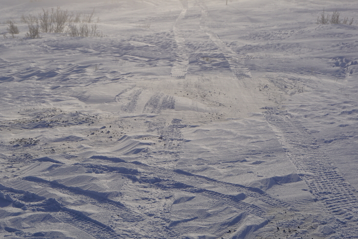 ������ �����������