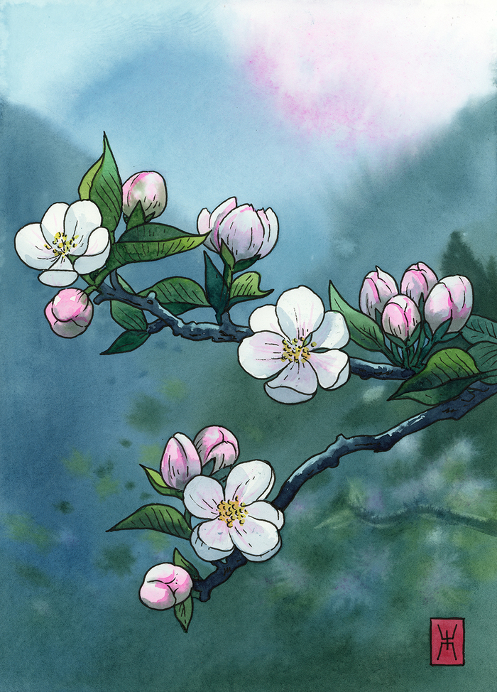 "������� ������ �� ���� �������� ���"