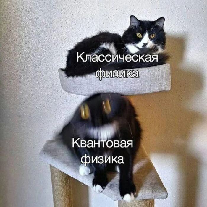  ,  ,   , 
