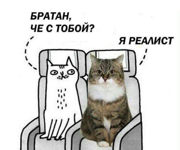    ,    ...