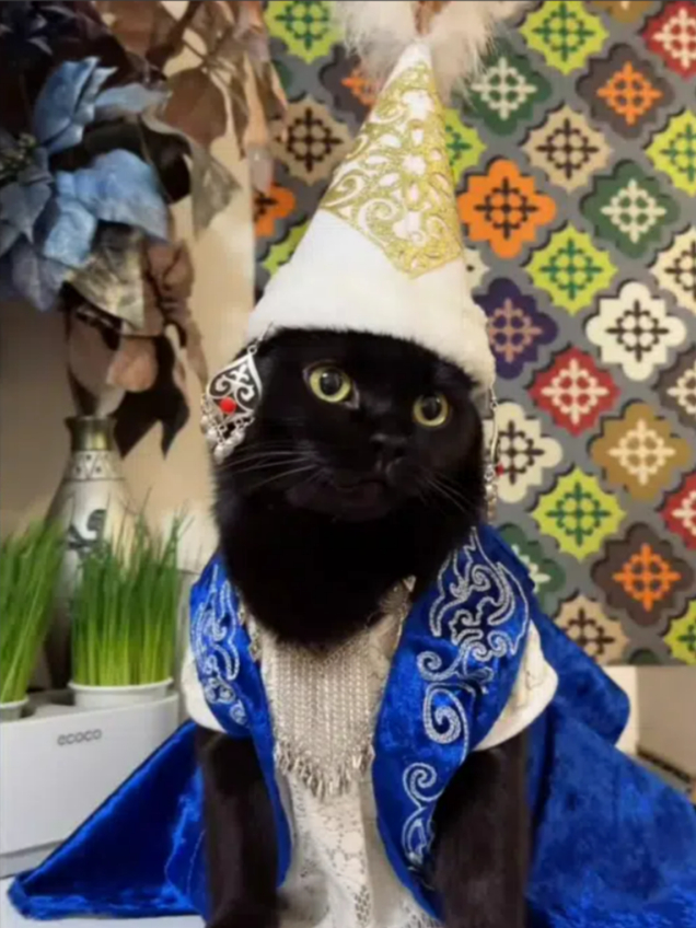 ����������� �����