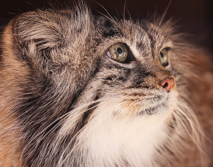 �������� ������