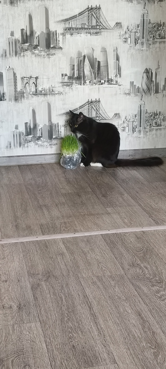 ��� ,��������...