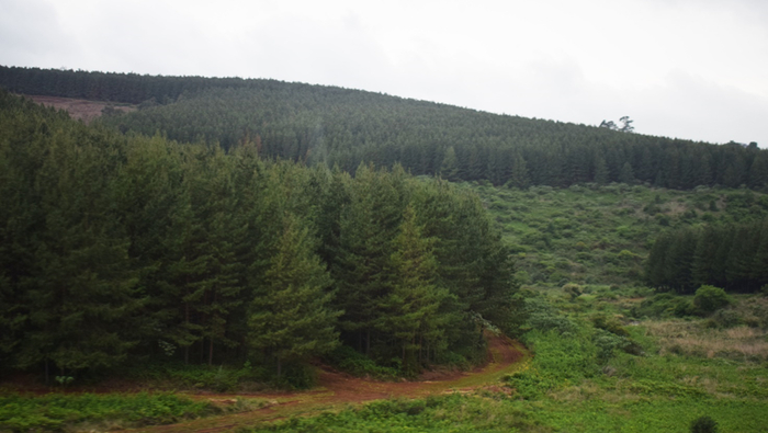 ���. 4. ������� ����������� � �������-�����