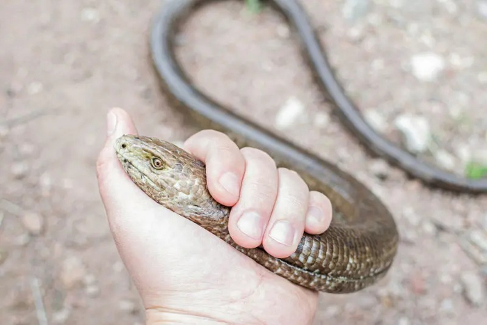 — А ну пусти меня! А то знаешь, что сделаю?! — Что? — Ничего!