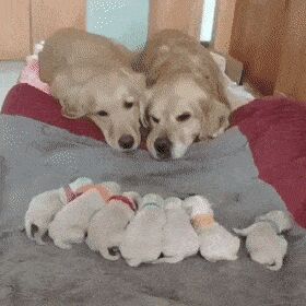  , , , 