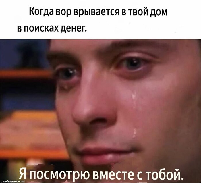   ... ,   , , , , Telegram (), 