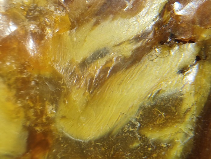    ,  , , , , , , ,  