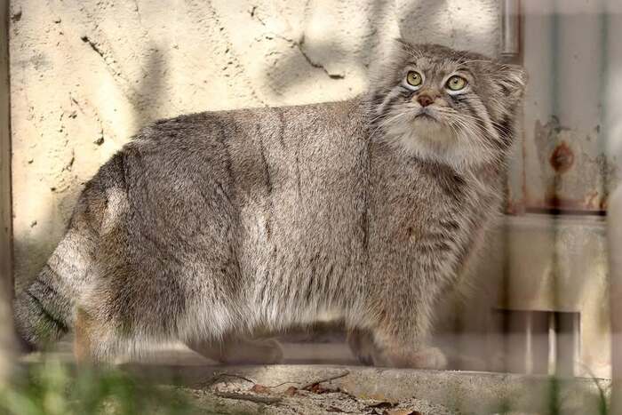  .  2018 .   <a href="https://pikabu.ru/story/prodolzhenie_posta_pamyati_lyovushki_post_12528338?u=https%3A%2F%2Fwww.instagram.com%2Fp%2FCoebVLMvG-8%2F%3Figsh%3Dd3Q5aDM0aGNxdWQ%3D&t=tama080707%20inst&h=818c05cf0361c2b81bbecf1eeb5bf606c107e585" title="https://www.instagram.com/p/CoebVLMvG-8/?igsh=d3Q5aDM0aGNxdWQ=" target="_blank" rel="nofollow noopener">tama080707 inst</a>