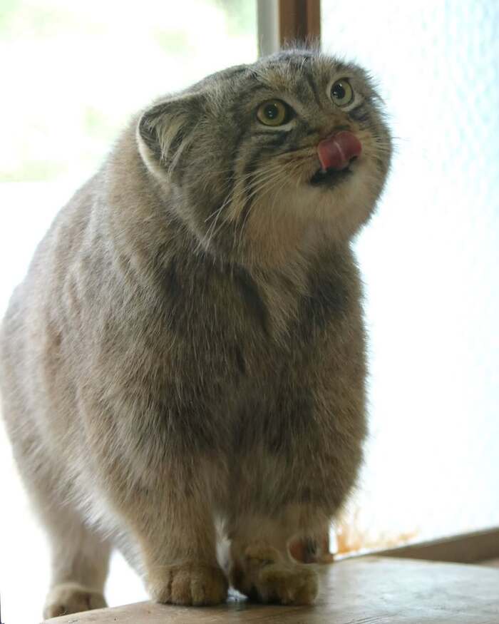  .  2016 .   <a href="https://pikabu.ru/story/prodolzhenie_posta_pamyati_lyovushki_post_12528338?u=https%3A%2F%2Fwww.instagram.com%2Fp%2FC2CmW7fvBZV%2F%3Figsh%3DMXE5OWl1YXJhcXBjeQ%3D%3D&t=tama080707%20inst&h=9c7aa537d260d61d1b0472dbb53e296739492c65" title="https://www.instagram.com/p/C2CmW7fvBZV/?igsh=MXE5OWl1YXJhcXBjeQ==" target="_blank" rel="nofollow noopener">tama080707 inst</a>