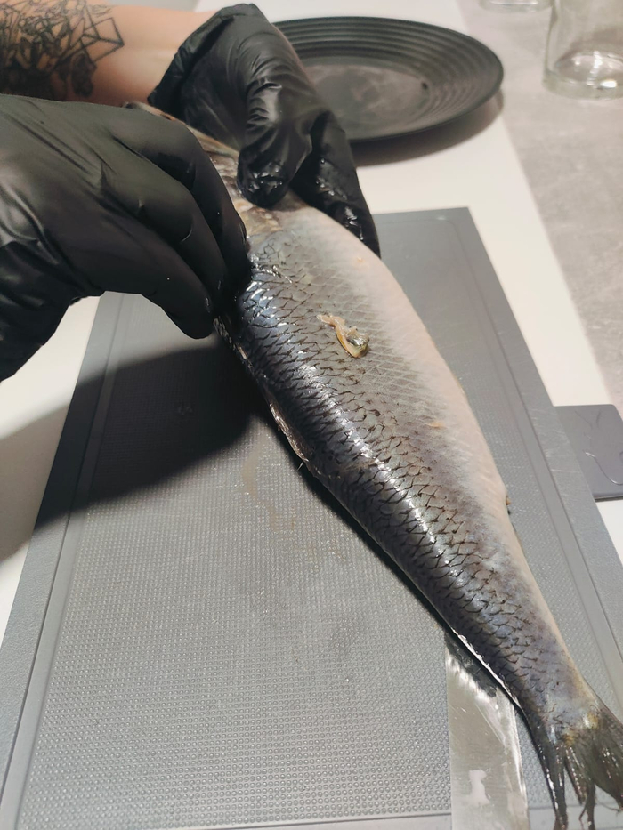 ������� ����.