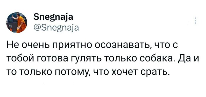  , , , , , X (Twitter), Telegram ()