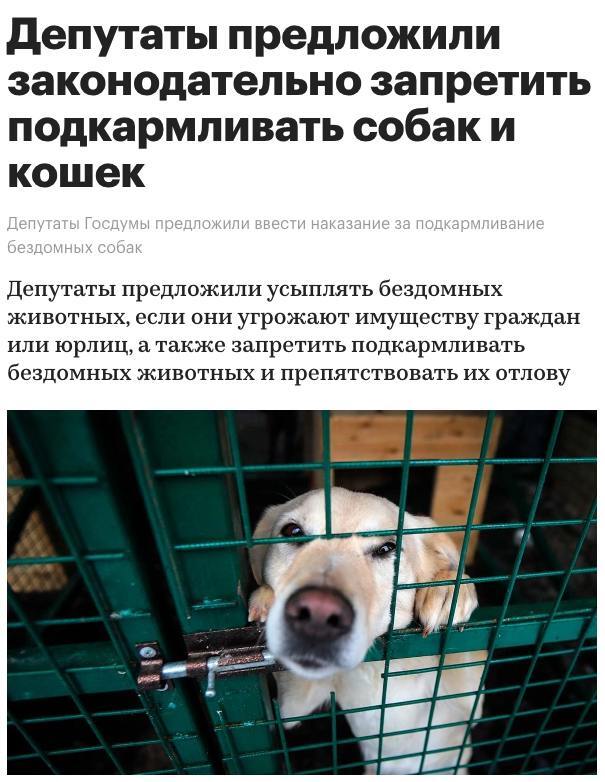 �������� ������ ��������� ��� ����,  ����������� �������, �������� � ���������, � ���������� �������� ��������