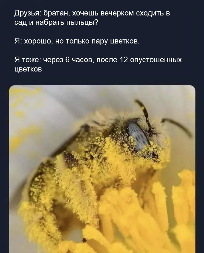   ,  , , , 