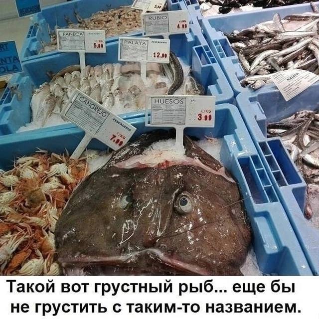     , , , Telegram ()