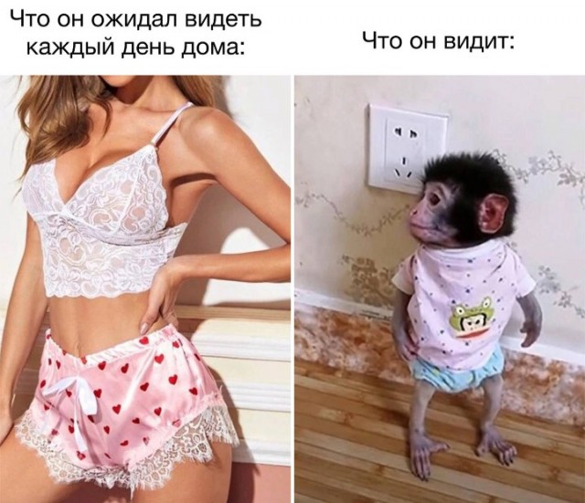 Жиза