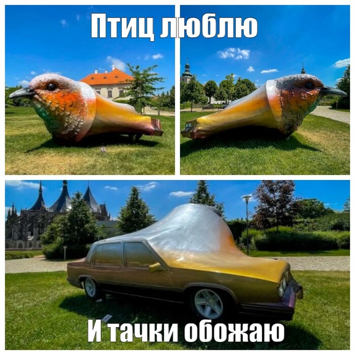 :   ? ,   , ,  , , , ,  , , 