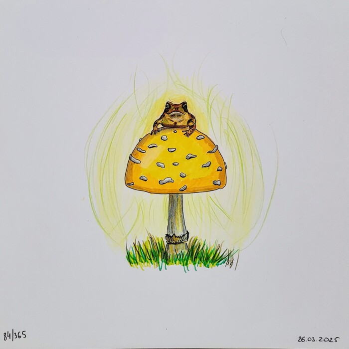    &quot;  &quot;. 84/365