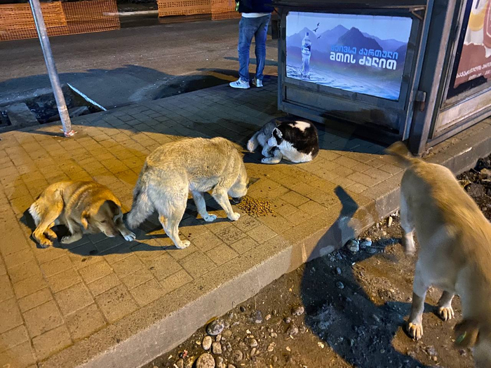     .   -     ,  ,  .      , . 