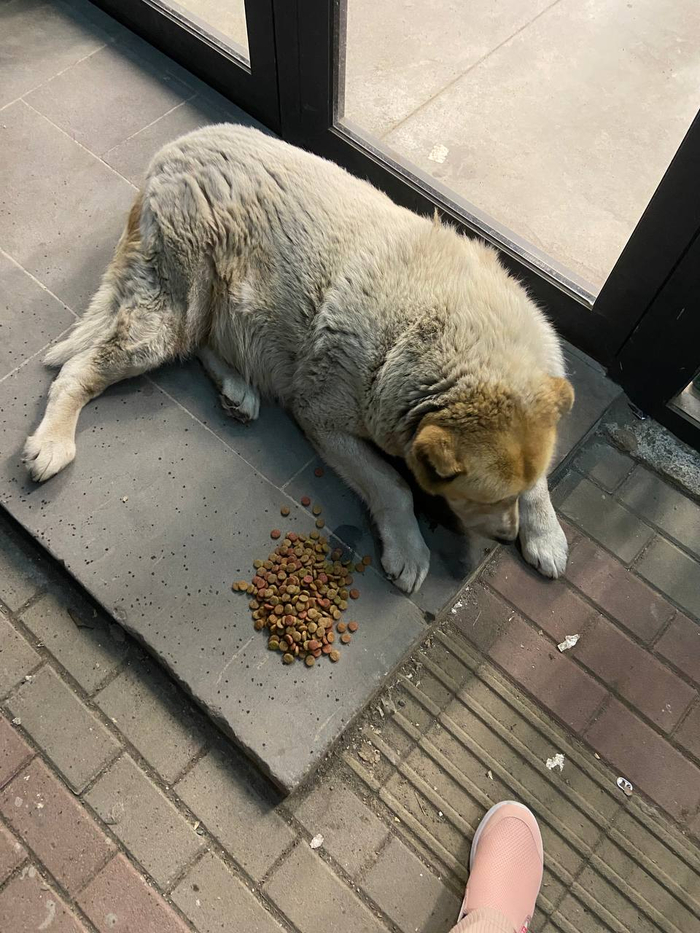     ,   39 ,   40  .   , -  70-75 . 