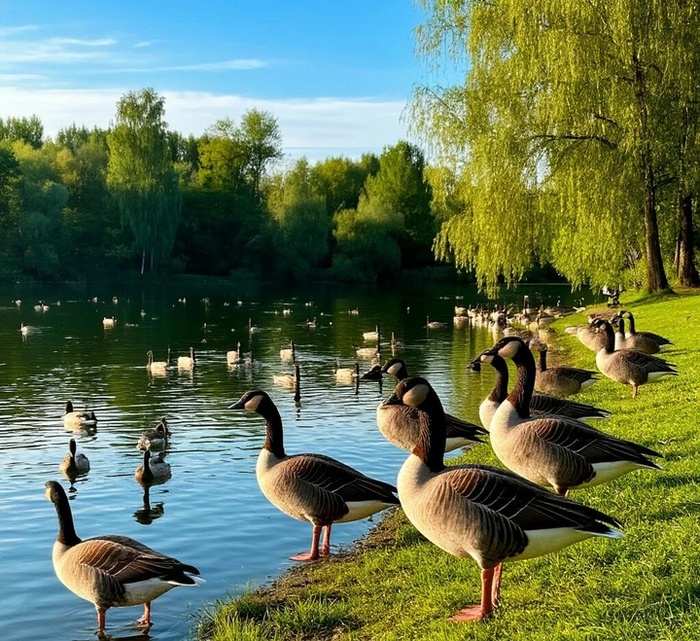   -  :      ,      40 ,    