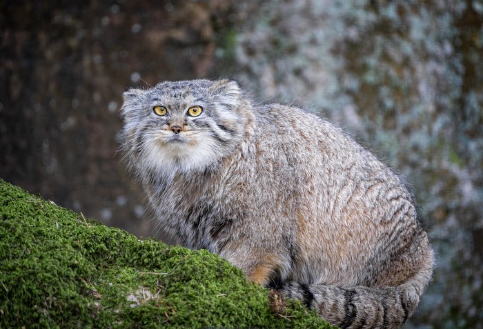 � �� ������ ��� ��������