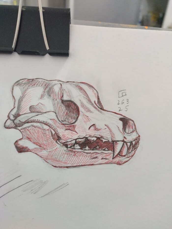      , Gudvinart,  , , 