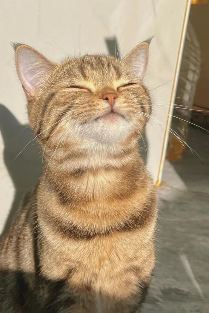 , , , , 