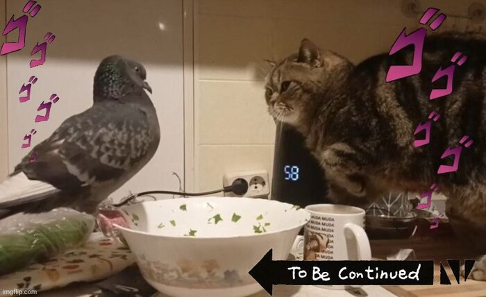 ��� ������ ��������. 