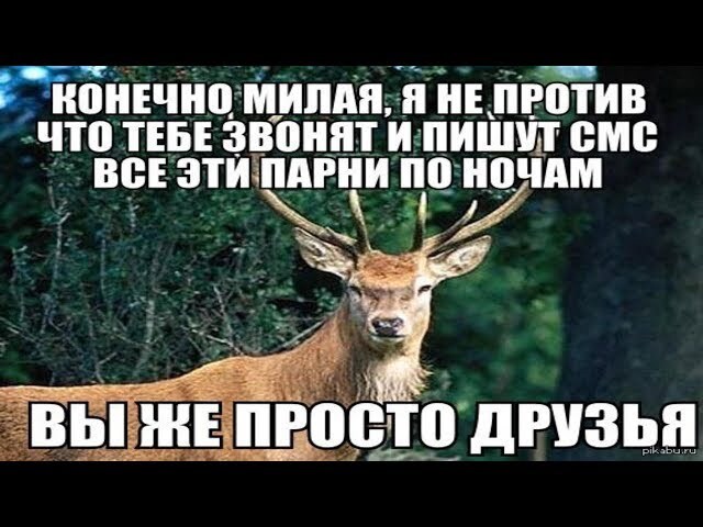    - - 9  ( ), , , -,   , , ,  (), , , , , ,   