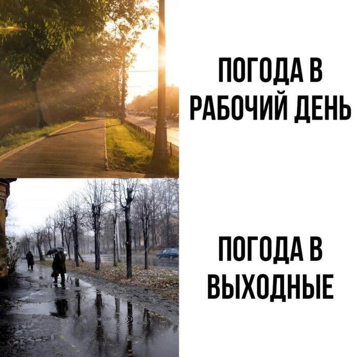   :    ,      