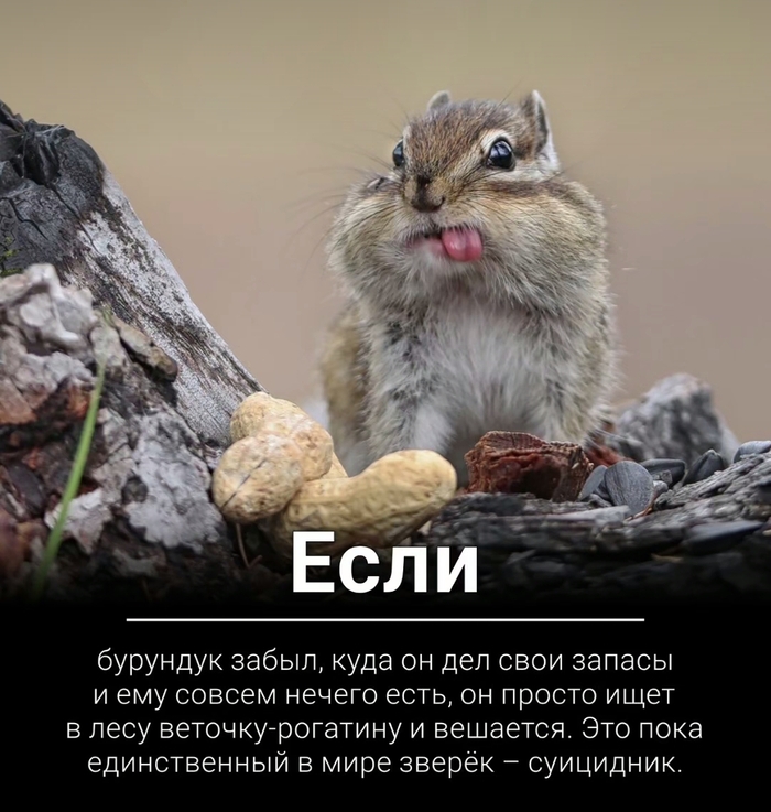       , ,   